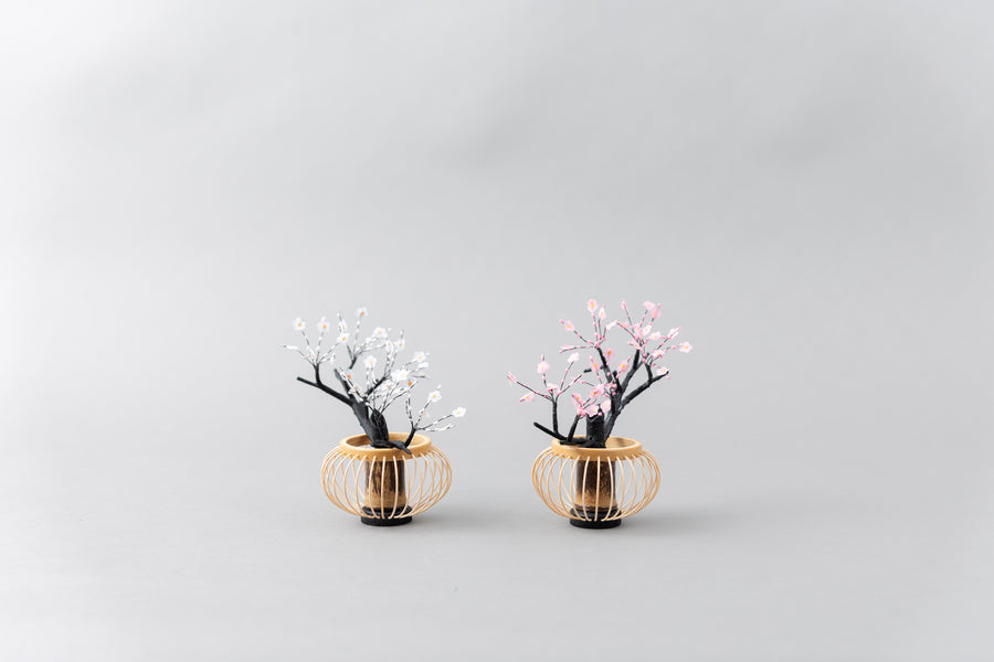 帯地COLLECTION 小出松寿作 『菊菱』